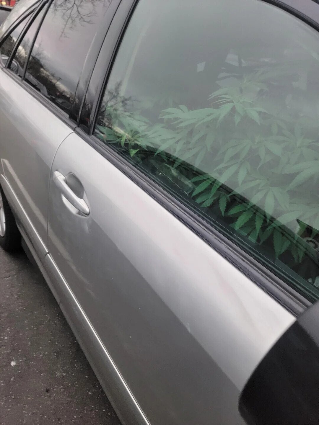 Noteworthy Photos from a Recent Safari to Target