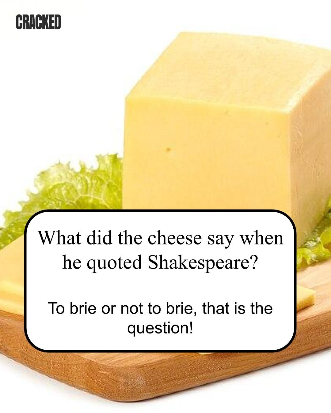 CRACKED What did the cheese say when he quoted Shakespeare? To brie or not to brie, that is the question! 