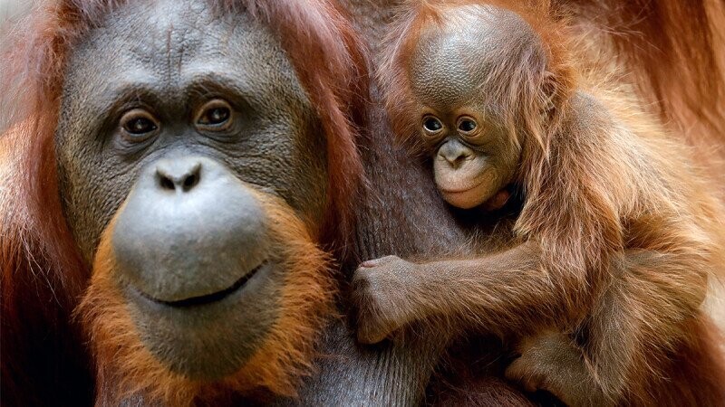 40 Random Bits of Trivia That Are Living in a Vastly Different World Than They Grew Up In