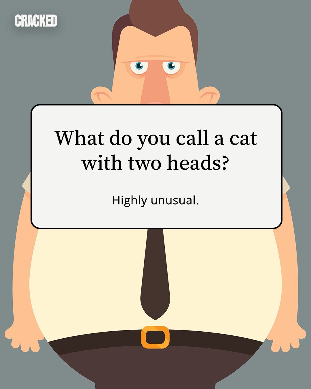 CRACKED What do you call a cat with two heads? Highly unusual. 