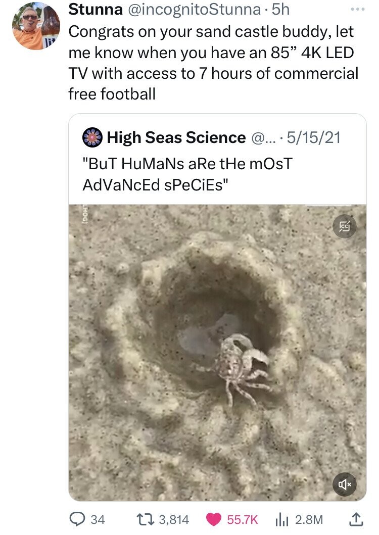 Stunna @incognitoStunna.5h ... Congrats on your sand castle buddy, let me know when you have an 85 4K LED TV with access to 7 hours of commercial free football High Seas Science @... . 5/15/21 BuT HuMaNs aRe tHe mOsT AdVaNcEd sPeCiEs (DOH CC 34 3,814 55.7K 2.8M