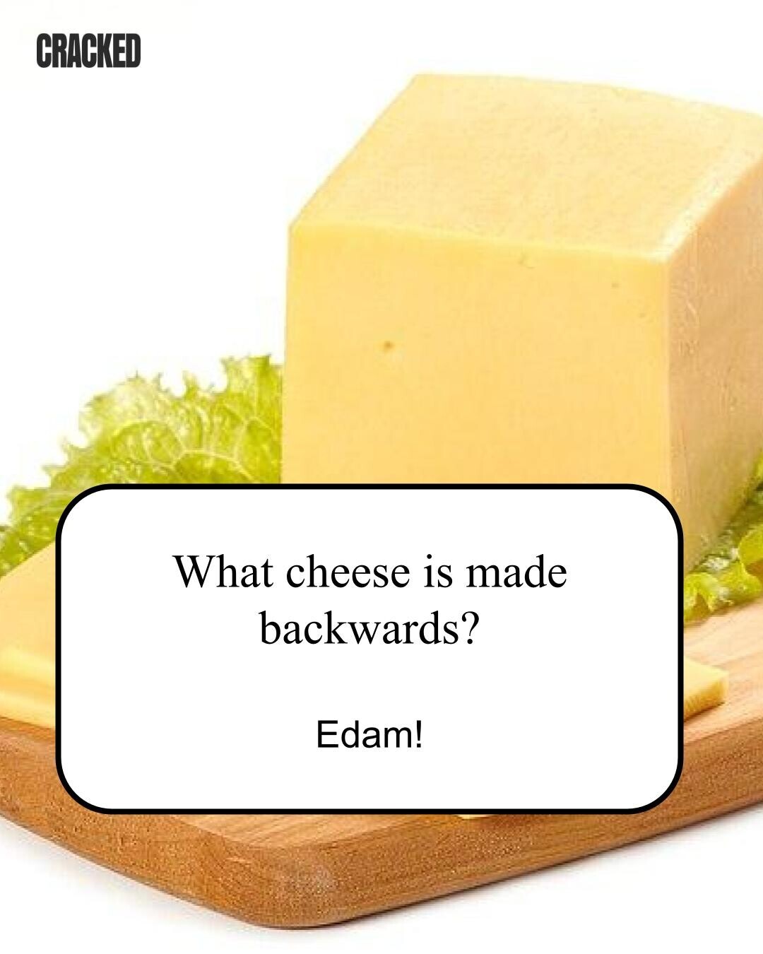 CRACKED What cheese is made backwards? Edam! 