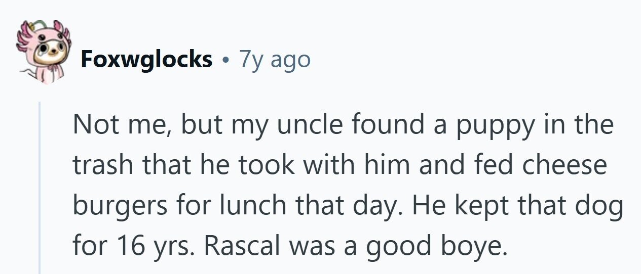 Foxwglocks . 7y ago Not me, but my uncle found a puppy in the trash that he took with him and fed cheese burgers for lunch that day. Не kept that dog for 16 yrs. Rascal was a good boye. 