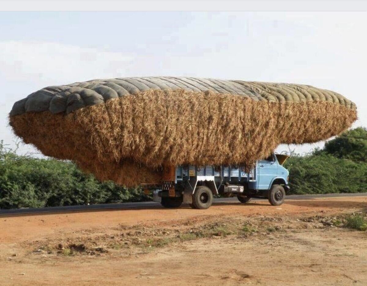 Photos Where the Ref Needed to Blow the Whistle