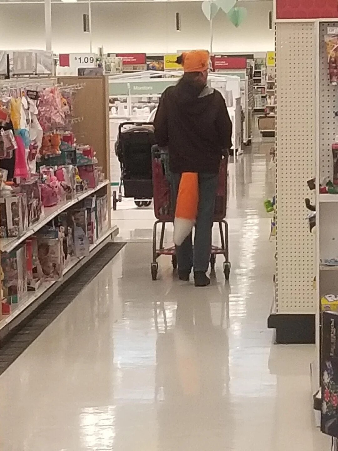 Noteworthy Photos from a Recent Safari to Target