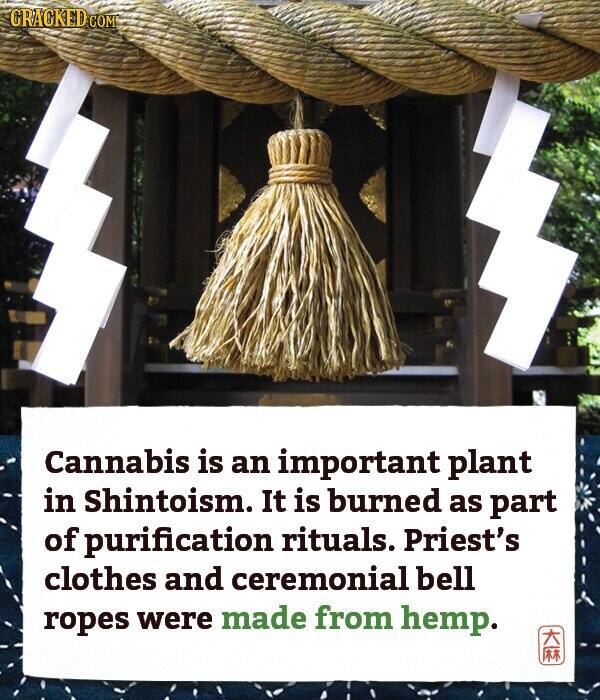 CRACKED.COM Cannabis is an important plant in Shintoism. It is burned as part of purification rituals. Priest's clothes and ceremonial bell ropes were made from hemp. Rx