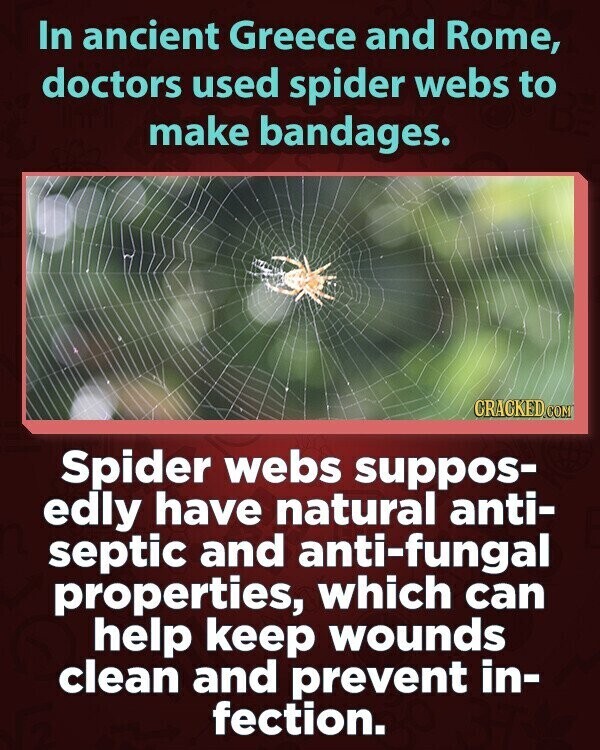 In ancient Greece and Rome, doctors used spider webs to make bandages. CRACKED.COM Spider webs suppos- edly have natural anti- septic and anti-fungal properties, which can help keep wounds clean and prevent in- fection.