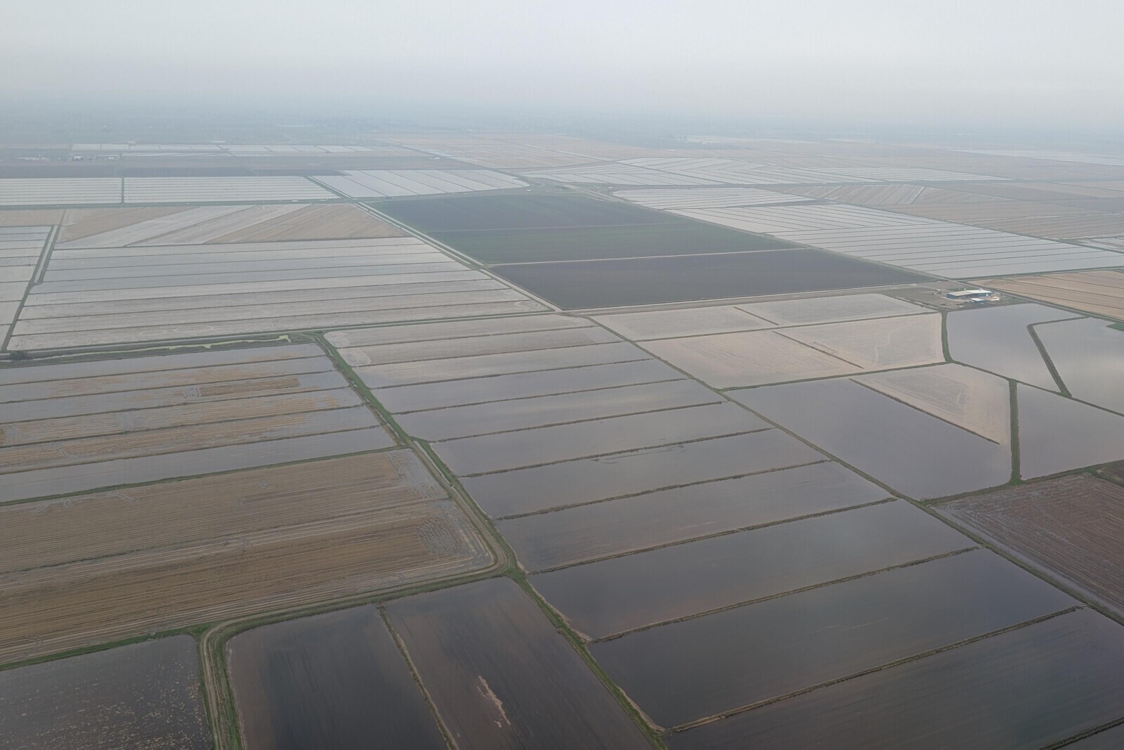 Photos That Are Too Good to Scroll Past