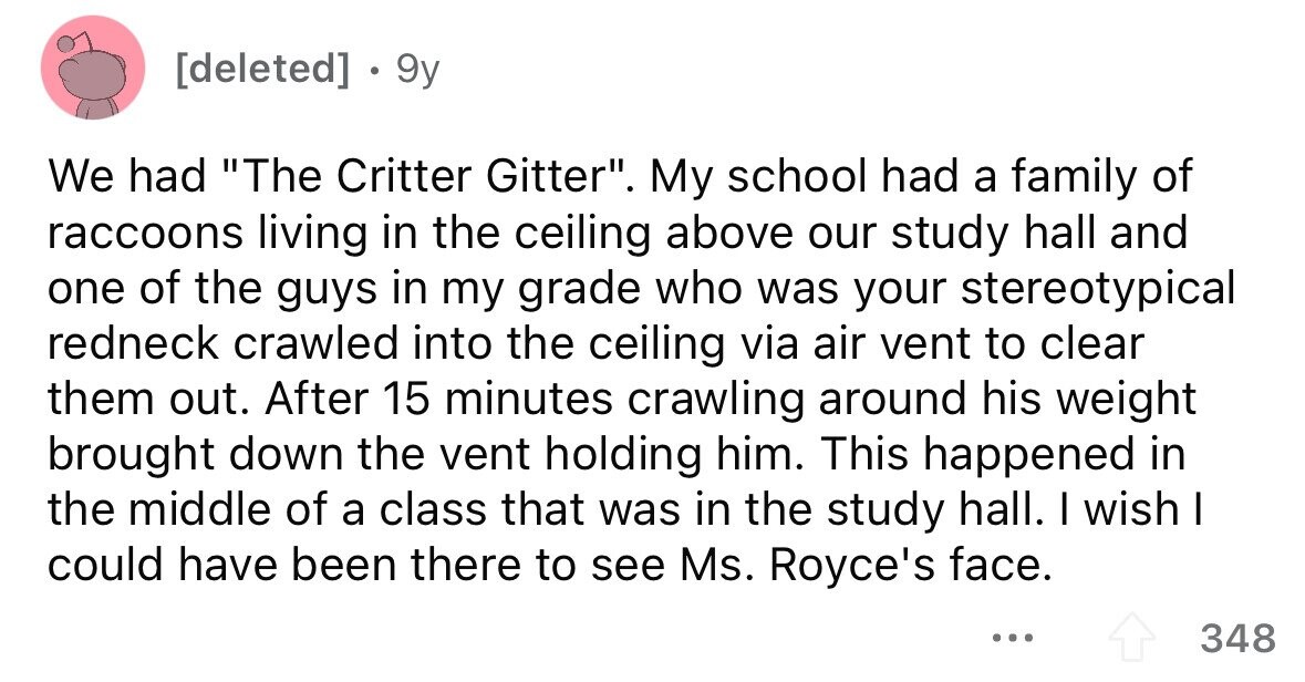 . 9y We had The Critter Gitter. My school had a family of raccoons living in the ceiling above our study hall and one of the guys in my grade who was your stereotypical redneck crawled into the ceiling via air vent to clear them out. After 15 minutes crawling around his weight brought down the vent holding him. This happened in the middle of a class that was in the study hall. I wish I could have been there to see Ms. Royce's face. ... 348