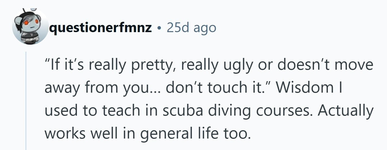 questionerfmnz . 25d ago If it's really pretty, really ugly or doesn't move away from you... don't touch it. Wisdom | used to teach in scuba diving courses. Actually works well in general life too. 