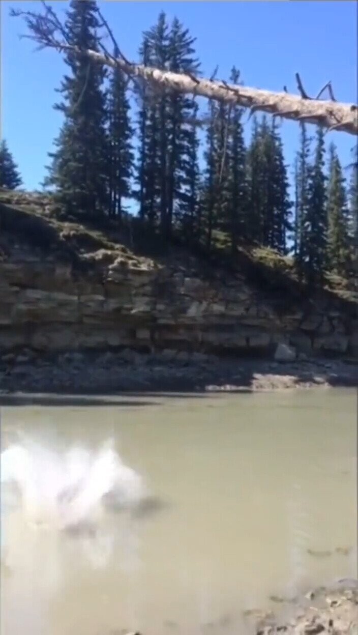 Photos Where Confidence Was Unwarranted