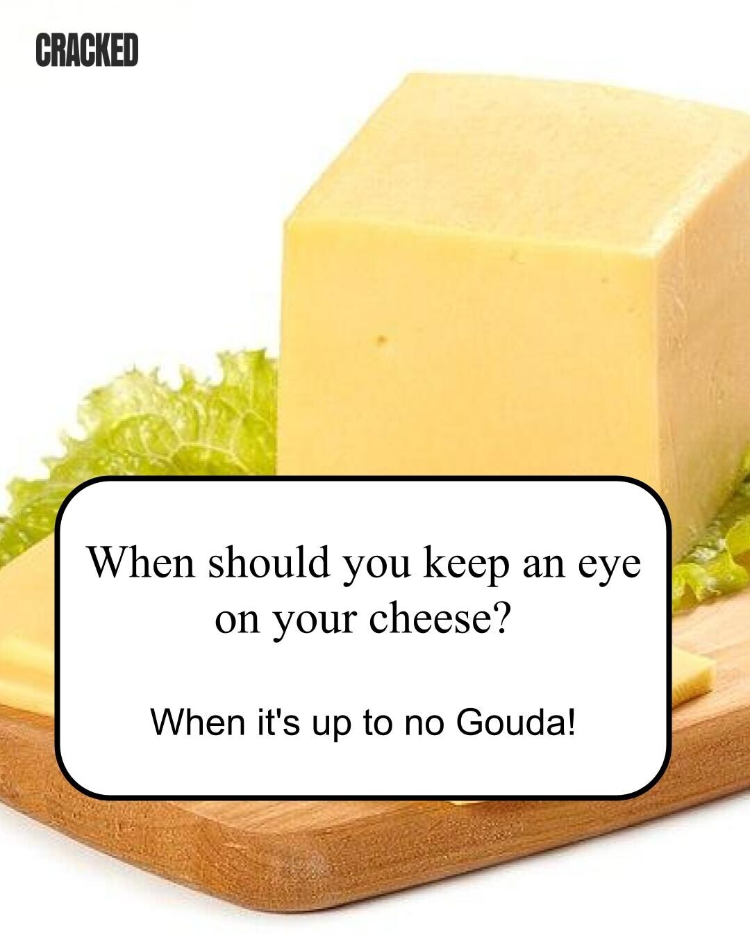 CRACKED When should you keep an eye on your cheese? When it's up to no Gouda! 
