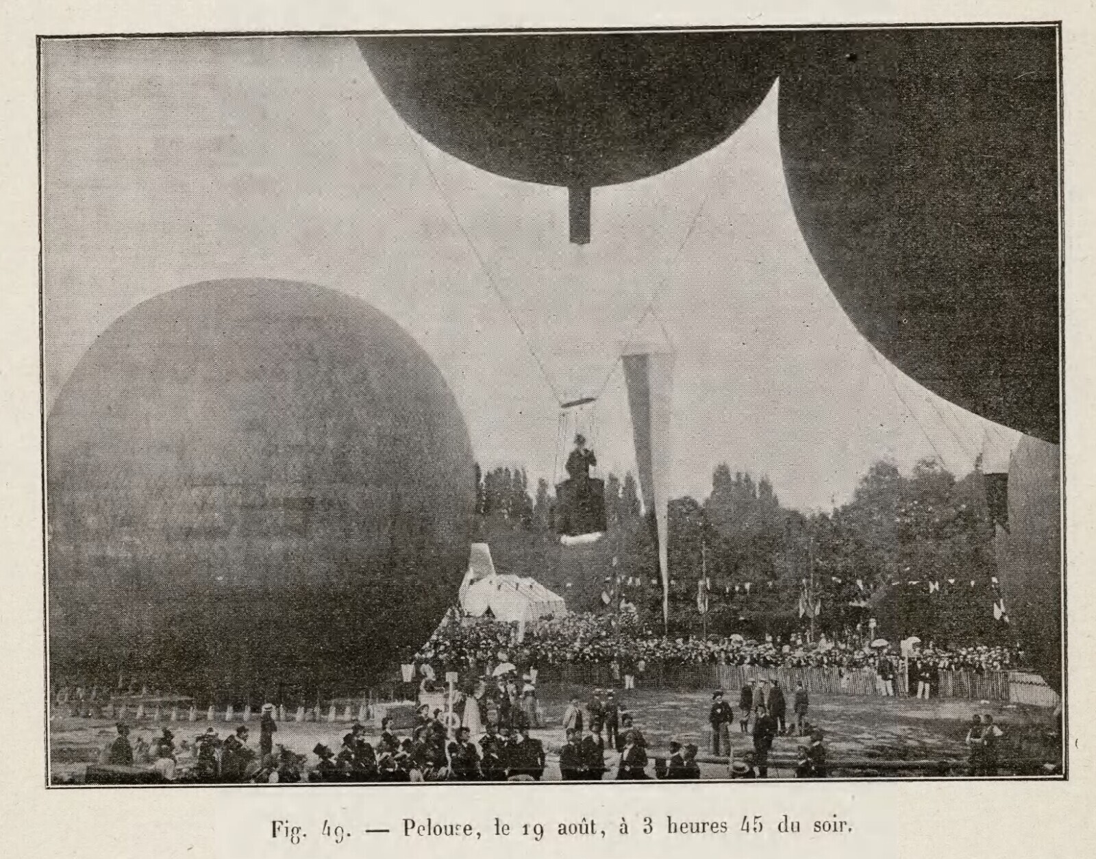 Fig. 49. - Pelouse, de 19 août, à 3 heures 45 du soir.