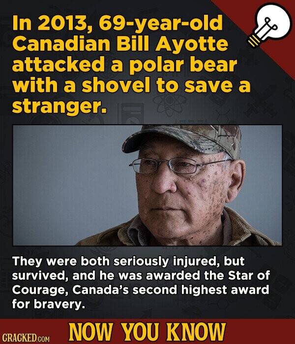 In 2013, 69-year-old Canadian Bill Ayotte attacked a polar bear with a shovel to save a stranger. They were both seriously injured, but survived, and