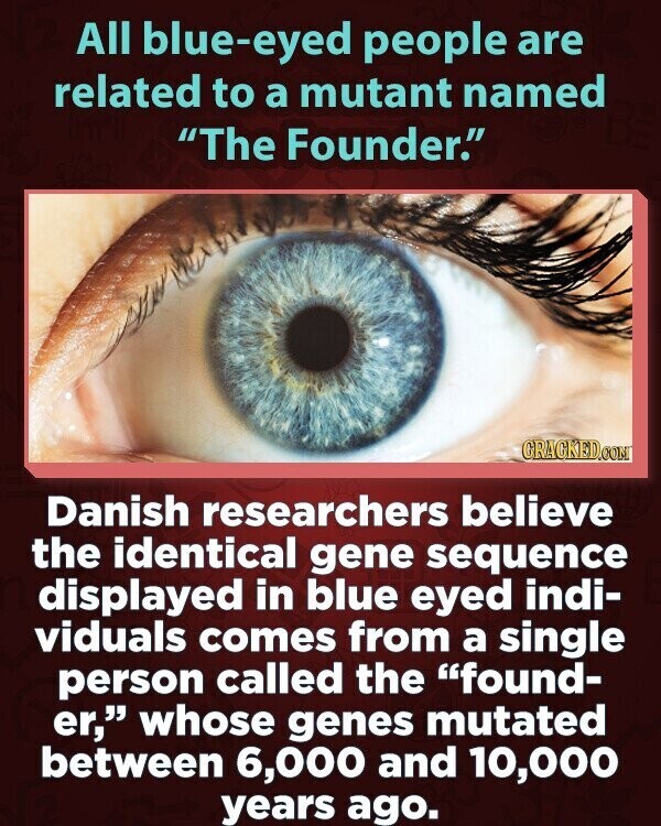 All blue-eyed people are related to a mutant named The Founder. GRACKED.COM Danish researchers believe the identical gene sequence displayed in blue eyed indi- viduals comes from a single person called the found- er, whose genes mutated between 6,000 and 10,000 years ago.