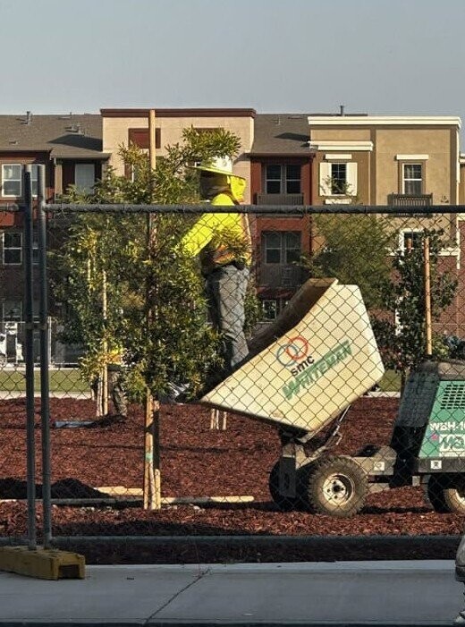 Photos Where Common Sense Isn’t a Priority