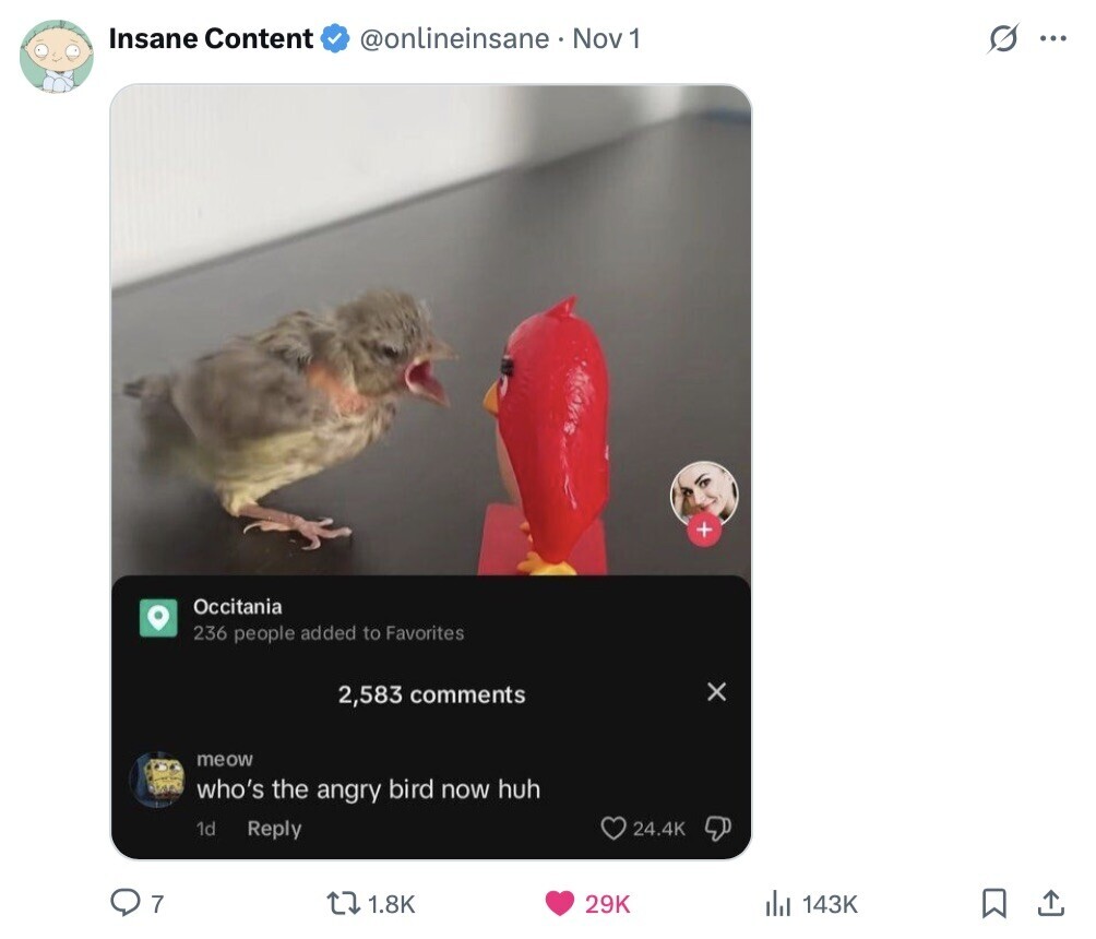 Insane Content @onlineinsane Nov 1 O ... + Occitania 236 people added to Favorites x 2,583 comments meow who's the angry bird now huh 1d Reply 24.4K 7 1.8K 29K 143K 