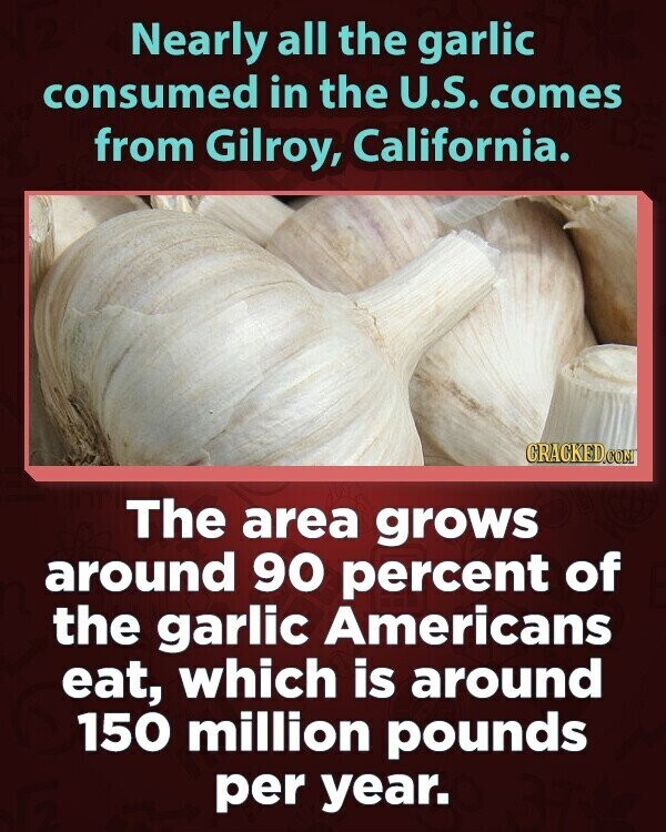 Nearly all the garlic consumed in the U.S. comes from Gilroy, California. GRACKED.COM The area grows around 90 percent of the garlic Americans eat, which is around 150 million pounds per year.