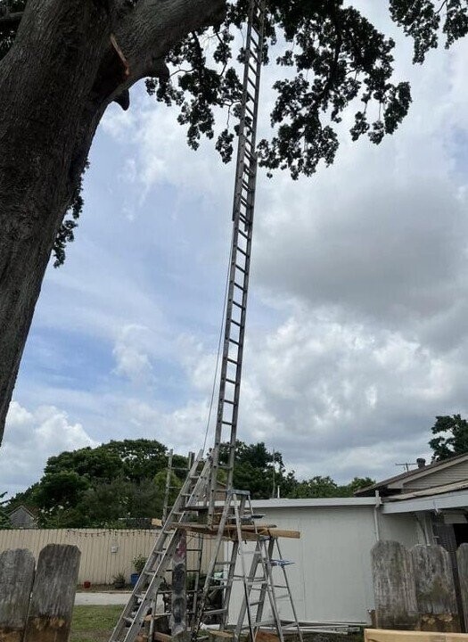 Photos Where Common Sense Isn’t a Priority