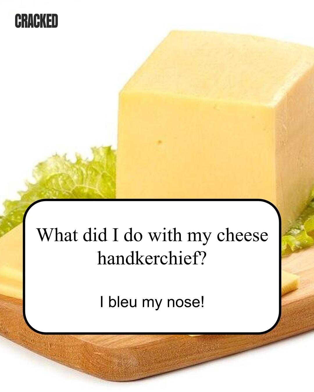 CRACKED What did I do with my cheese handkerchief? I bleu my nose! 