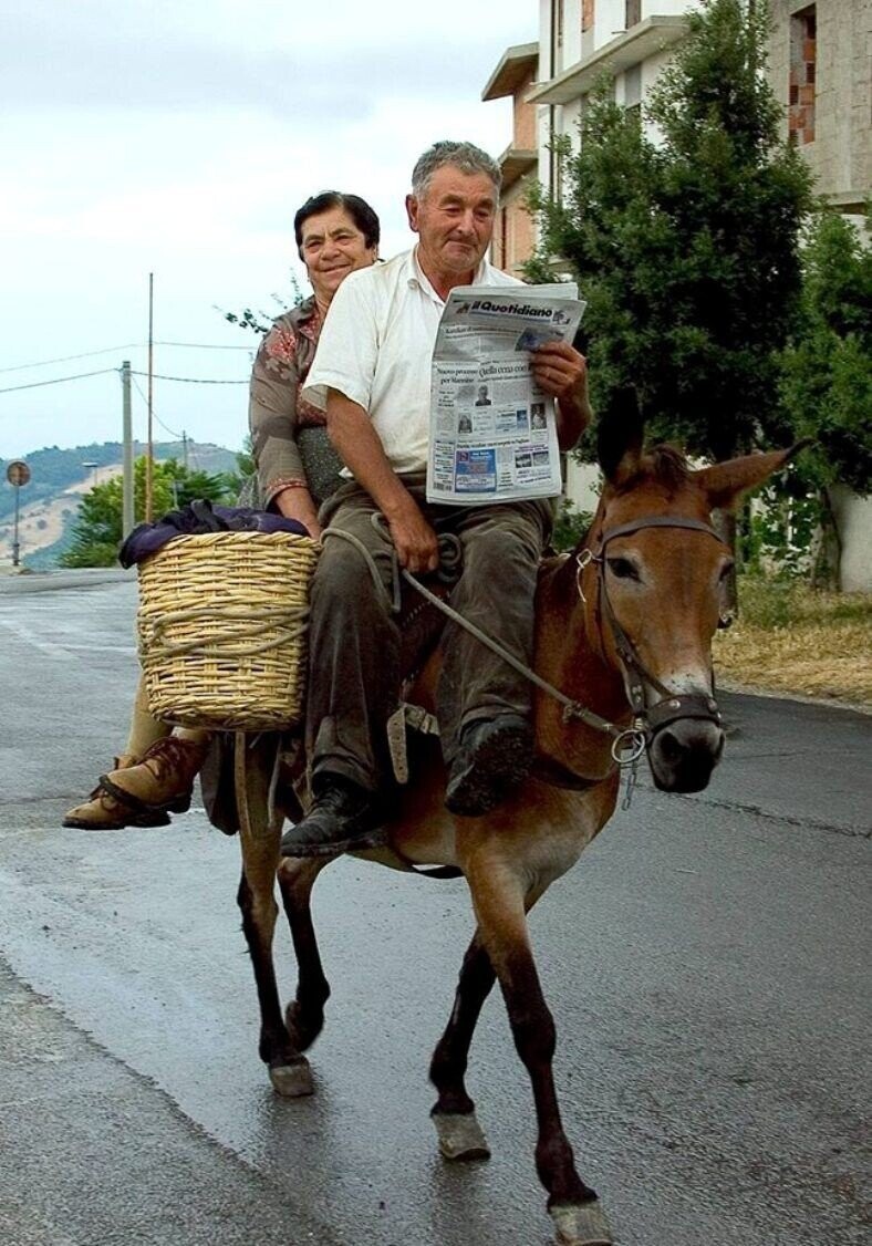 #Quotidiano Signo adidas em con IN Manvile