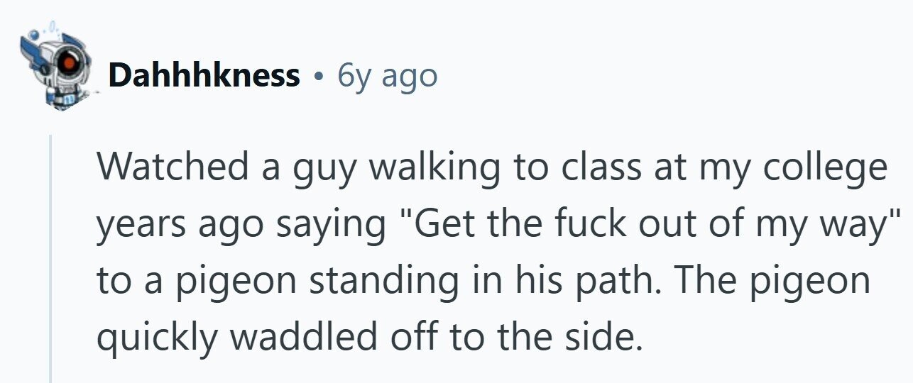 Dahhhkness 6y ago Watched a guy walking to class at my college years ago saying Get the fuck out of my way to a pigeon standing in his path. The pigeon quickly waddled off to the side.