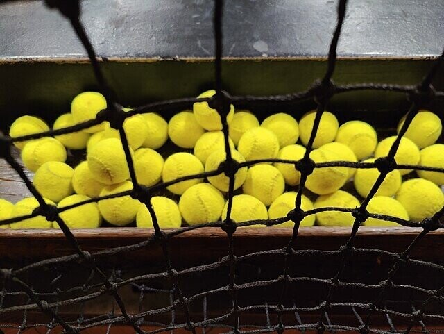 Forgotten Sports That Once Dominated the World