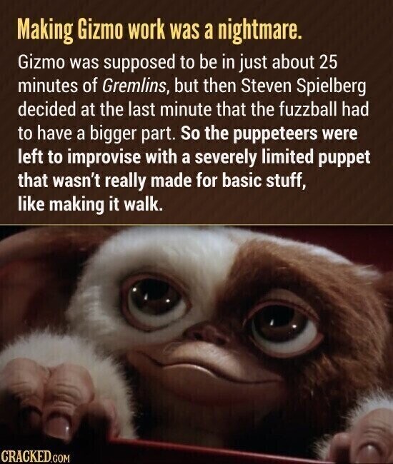 Making Gizmo work was a nightmare. Gizmo was supposed to be in just about 25 minutes of Gremlins, but then Steven Spielberg decided at the last minute that the fuzzball had to have a bigger part. So the puppeteers were left to improvise with a severely limited puppet that wasn't really made for basic stuff, like making it walk. CRACKED.COM