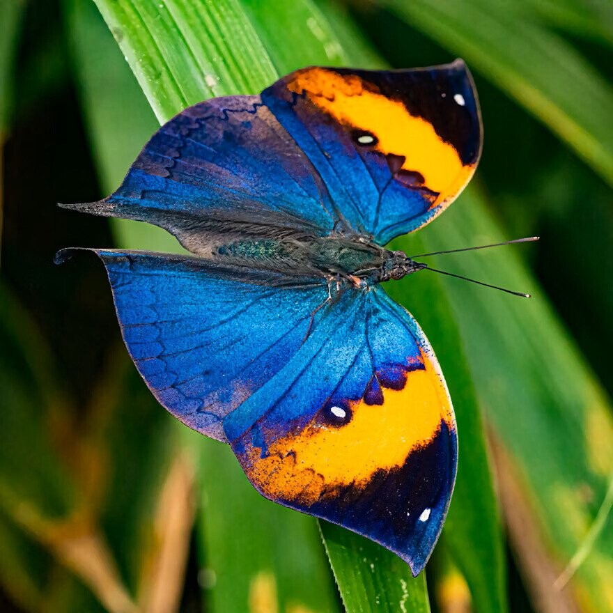 Fascinating Photos of Nature at its Most Exquisite