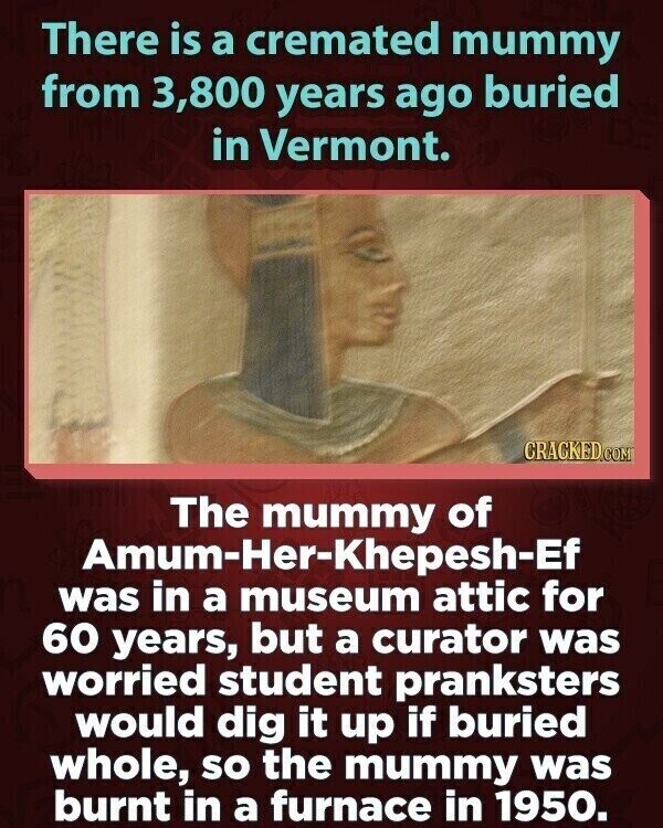 There is a cremated mummy from 3,800 years ago buried in Vermont. CRACKED.COM The mummy of Amum-Her-Khepesh-Ef was in a museum attic for 60 years, but a curator was worried student pranksters would dig it up if buried whole, so the mummy was burnt in a furnace in 1950.