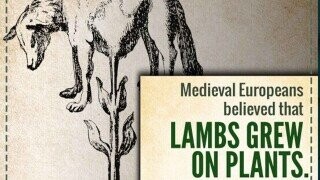 15 'Scientific' Beliefs from the Past (That Were Embarrassingly Wrong)