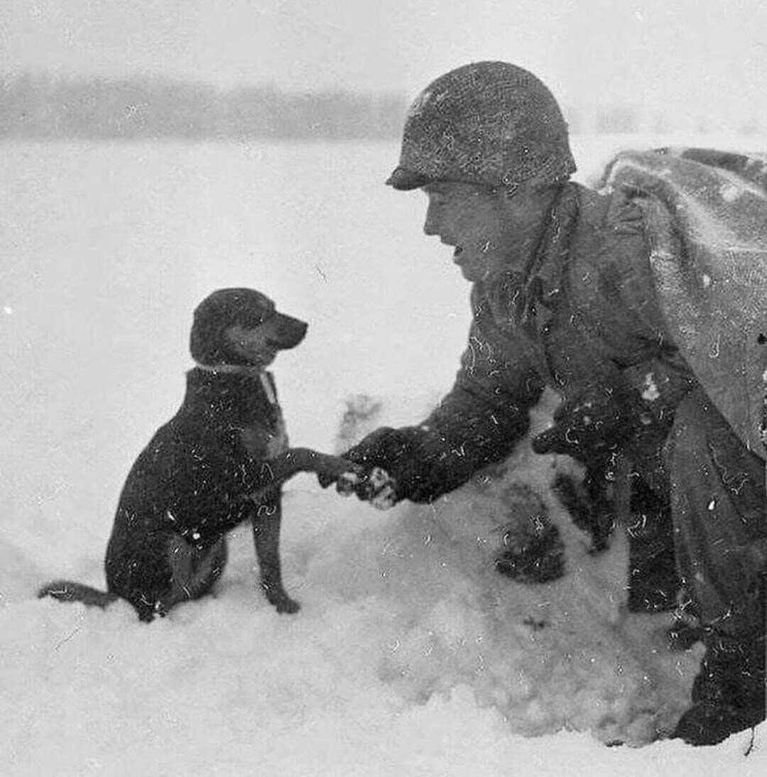 Poignant Historical Photos Showing Life in the Past