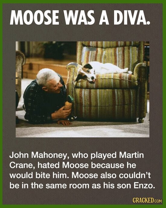 MOOSE WAS A DIVA. John Mahoney, who played Martin Crane, hated Moose because he would bite him. Moose also couldn't be in the same room as his son Enzo. CRACKED.COM