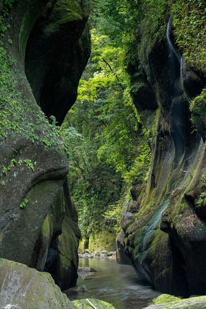 Fascinating Photos of Nature at its Most Exquisite