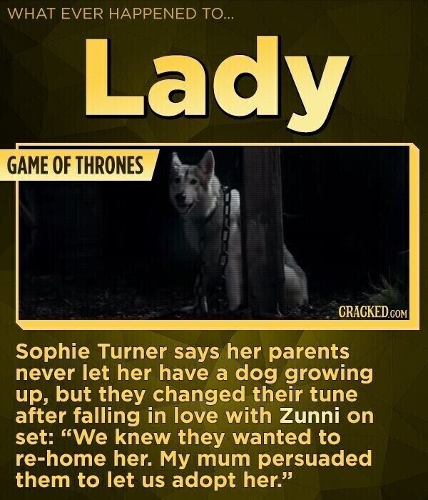 WHAT EVER HAPPENED TO... Lady GAME OF THRONES CRACKED.COM Sophie Turner says her parents never let her have a dog growing up, but they changed their tune after falling in love with Zunni on set: We knew they wanted to re-home her. My mum persuaded them to let us adopt her.