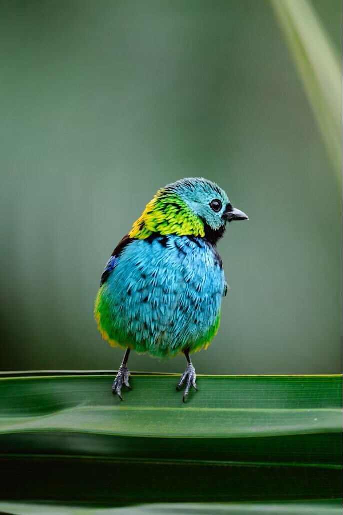 Fascinating Photos of Nature at its Most Exquisite