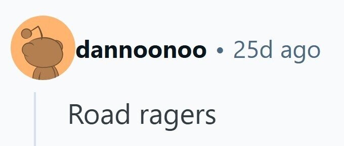 dannoonoo . 25d ago Road ragers 