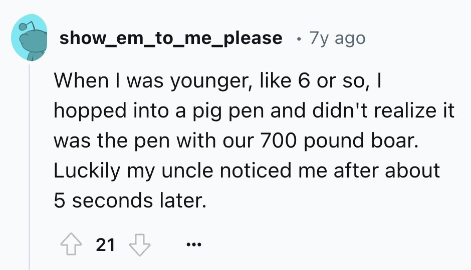 show_em_to_me_please 0 7y ago When I was younger, like 6 or so, I hopped into a pig pen and didn't realize it was the pen with our 700 pound boar. Luckily my uncle noticed me after about 5 seconds later. 21 ...
