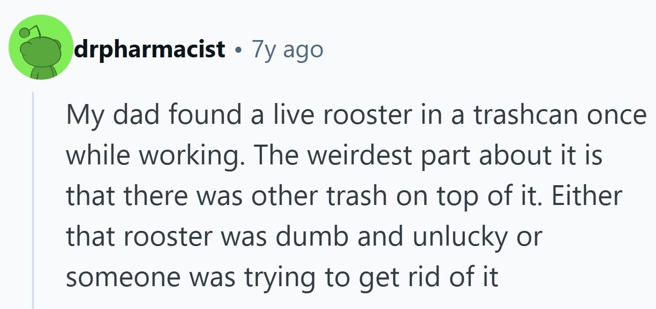 drpharmacist • 7y ago My dad found a live rooster in a trashcan once while working. The weirdest part about it is that there was other trash on top of it. Either that rooster was dumb and unlucky or someone was trying to get rid of it 