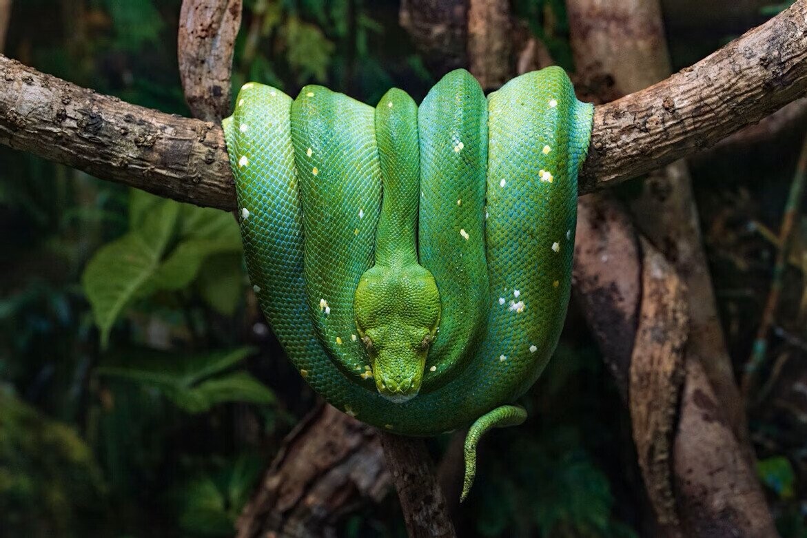 Fascinating Photos of Nature at its Most Exquisite