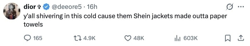 dior t @deeore5 16h ... y'all shivering in this cold cause them Shein jackets made outta paper towels 165 4.9K 48K 603K