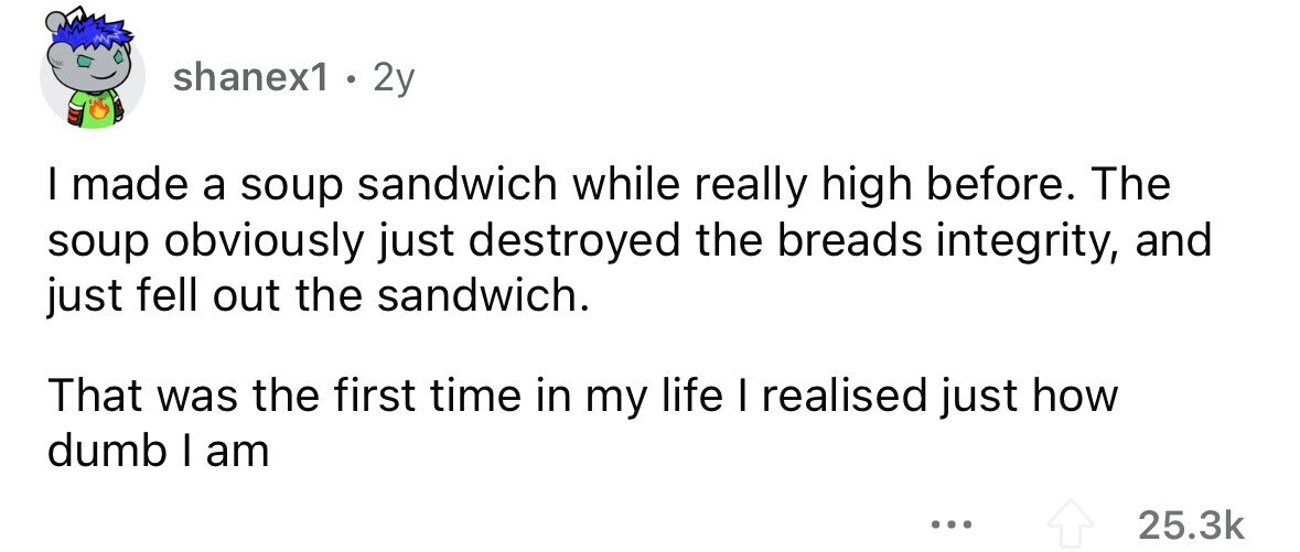shanex1. 2y I made a soup sandwich while really high before. The soup obviously just destroyed the breads integrity, and just fell out the sandwich. That was the first time in my life I realised just how dumb I am ... 25.3k 