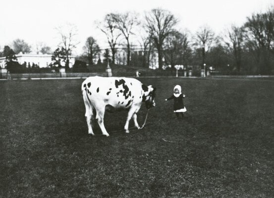 White House Zoo: The Strangest Presidential Pets