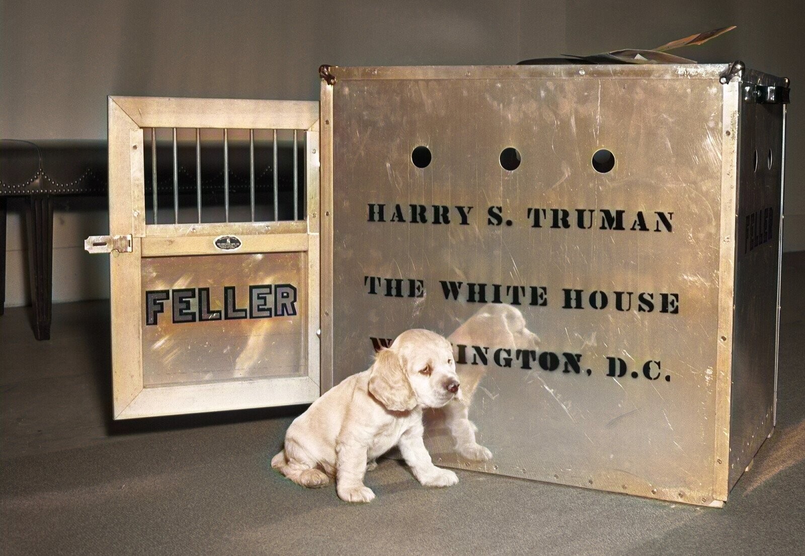 White House Zoo: The Strangest Presidential Pets