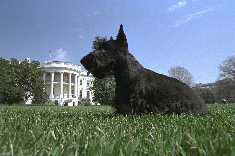 White House Zoo: The Strangest Presidential Pets