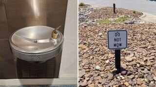 20 Photos Where Common Sense Quit On the Spot