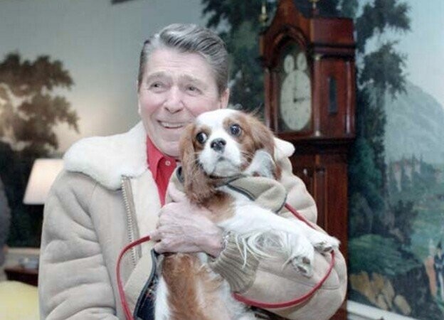 White House Zoo: The Strangest Presidential Pets