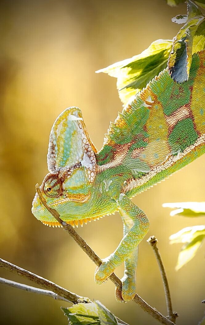 Fascinating Photos of Nature at its Most Exquisite