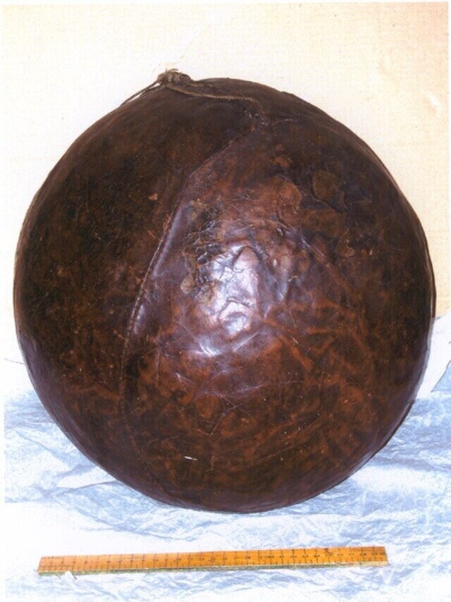 Forgotten Sports That Once Dominated the World