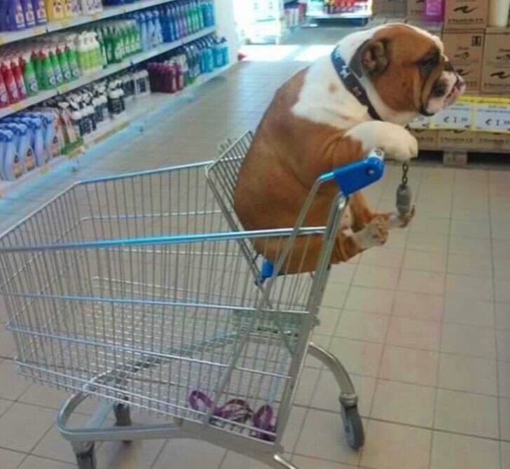 Times Walmart Looked Like an American Fever Dream